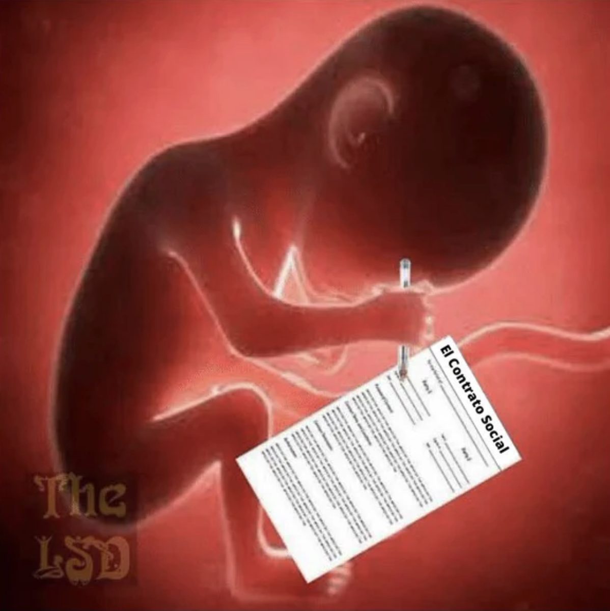 El contrato social que nadie firmó